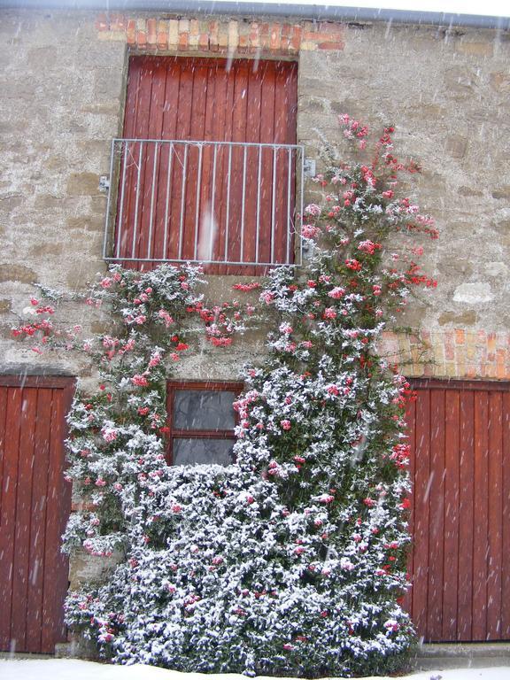 Ballyhargan Farm House Dungiven Dış mekan fotoğraf