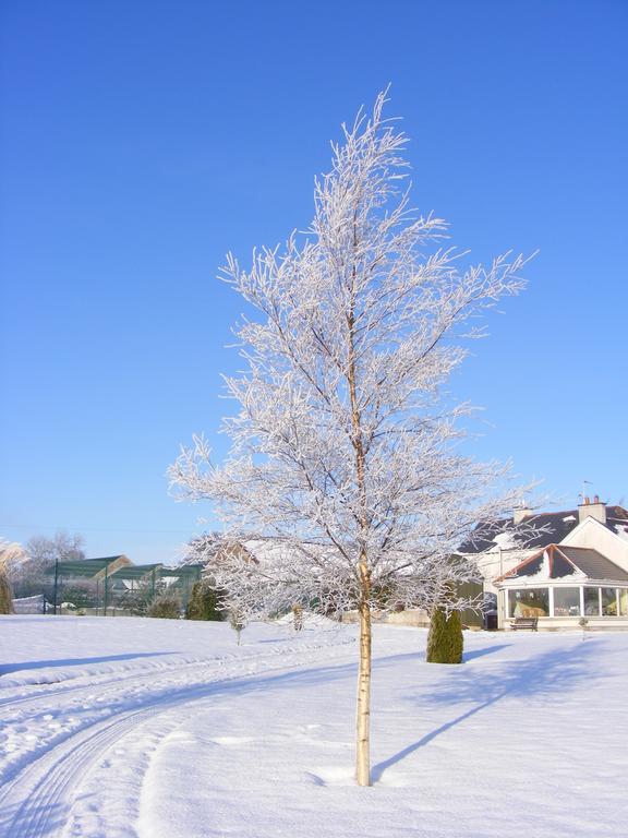 Ballyhargan Farm House Dungiven Dış mekan fotoğraf