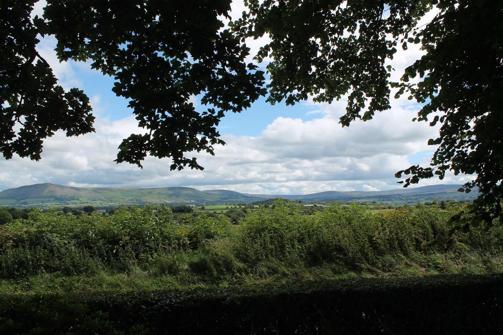 Ballyhargan Farm House Dungiven Dış mekan fotoğraf