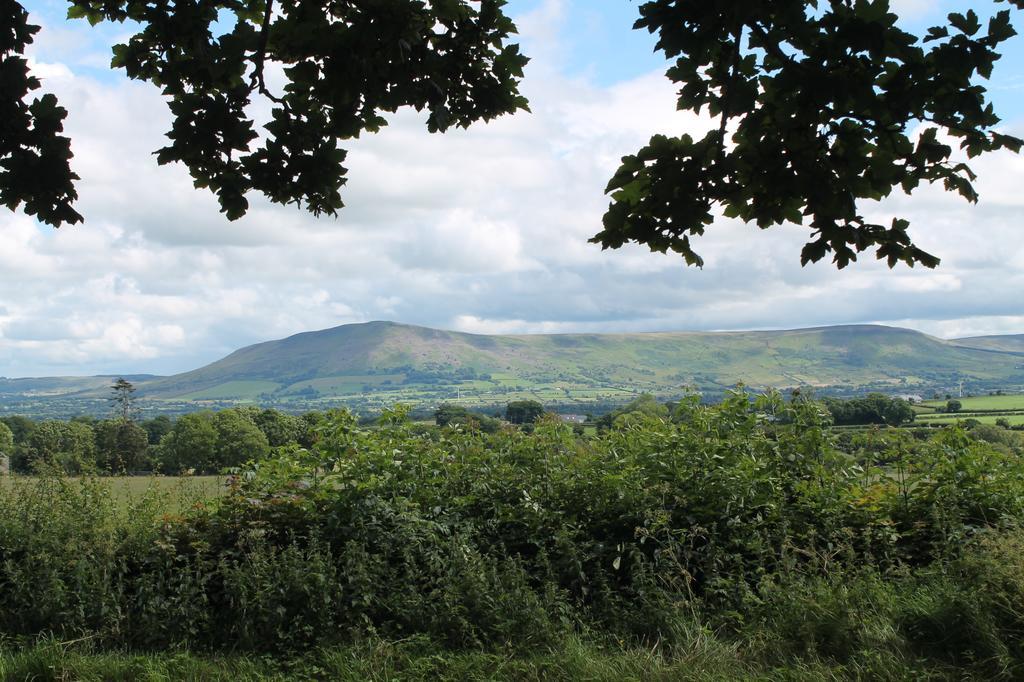 Ballyhargan Farm House Dungiven Dış mekan fotoğraf