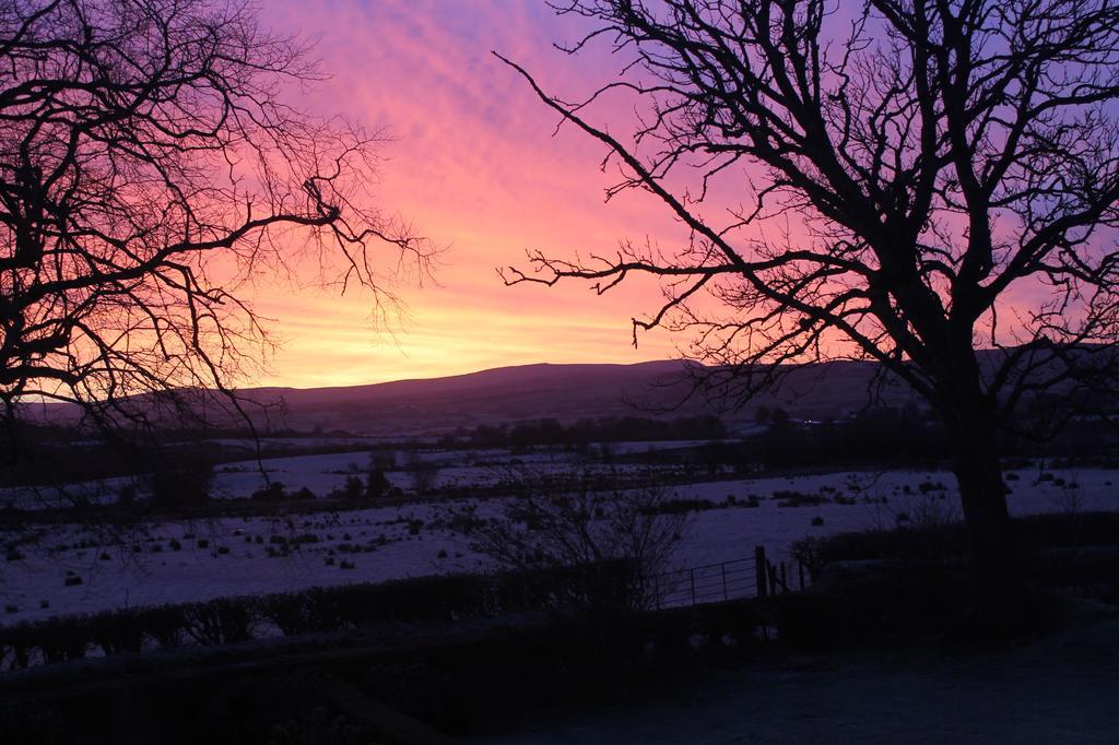 Ballyhargan Farm House Dungiven Dış mekan fotoğraf
