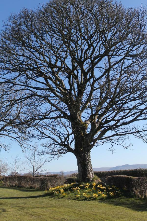 Ballyhargan Farm House Dungiven Dış mekan fotoğraf